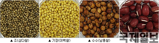 (사진=농촌진흥청)