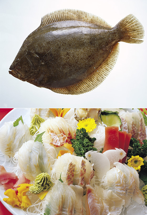 넙치(광어). (사진=해양수산부)