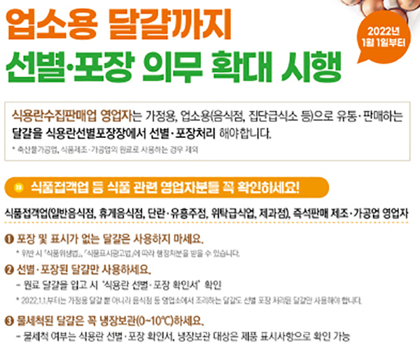 달걀 선별·포장 의무 내용.