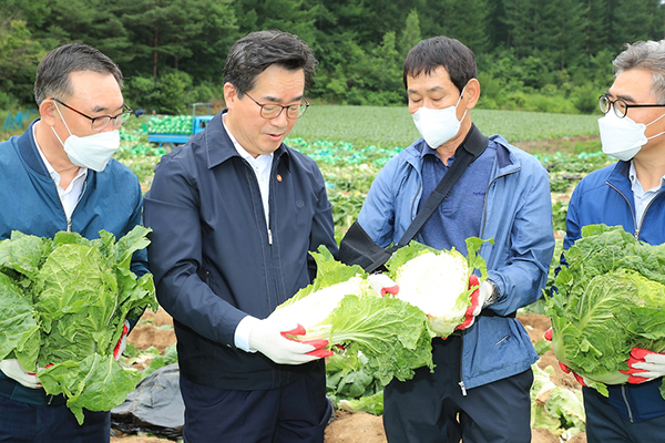 정황근 농림축산식품부 장관이 지난 13일 강원 평창군 진부면 호명리 준고랭지 배추 재배단지를 방문해 배추 생육상태를 확인하고 있다. (사진=농림축산식품부)