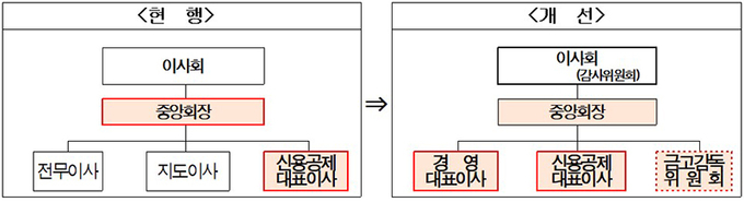 중앙회 권한분산(안)