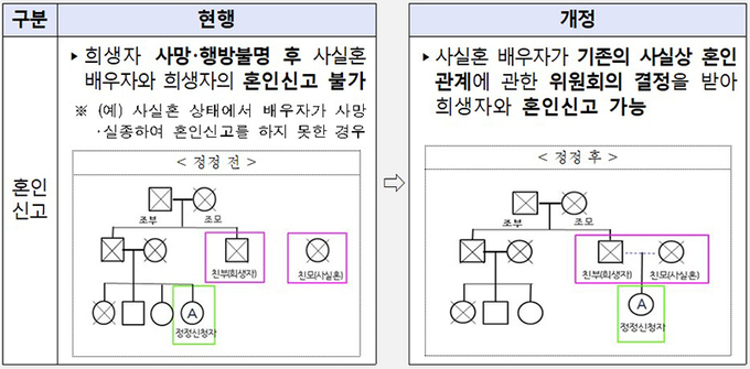 사실상 혼인 관계 개정