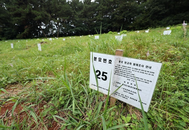 지난 8월 8일 오전 유해발굴 개토행사가 열린 경기 안산시 단원구 선감동 공동묘역에서 '선감학원 아동 인권침해 사건' 희생자들의 분묘가 줄지어 있다. 2024.12.13. / 연합뉴스