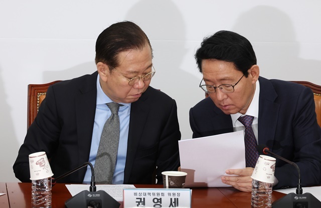 국민의힘 권영세 비상대책위원장과 김상훈 정책위의장(오른쪽)이 24일 국회에서 열린 비상대책위원회의에서 대화하고 있다. 2025.3.24. / 연합뉴스