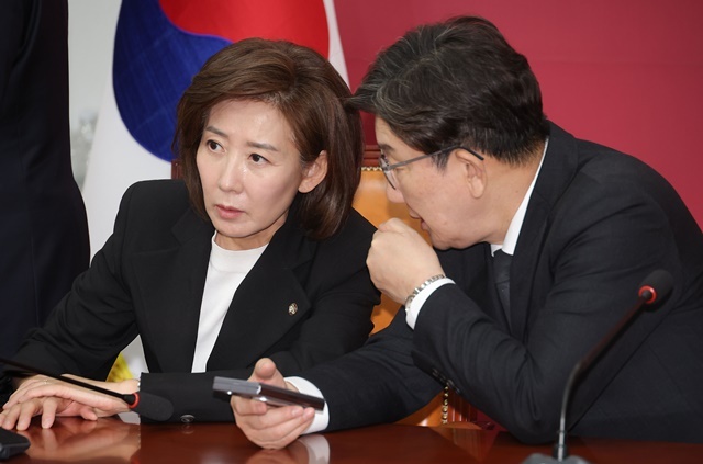 국민의힘 대선 선거대책위원장에 내정된 나경원 의원과 권성동 원내대표가 4일 국회에서 열린 당 선거대책위원회 회의에서 대화를 나누고 있다. 2025.5.4. / 연합뉴스