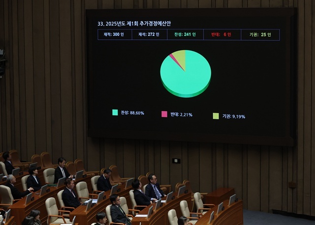 2025년도 1차 추경안 국회 본회의 통과 / 연합뉴스