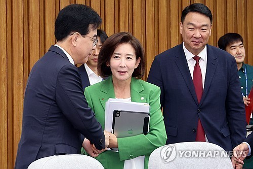 국민의힘 송언석 원내대표가 2일 서울 여의도 국회에서 열린 원내대책회의에서 나경원 법제사법위원회 간사와 악수하고 있다. / 연합뉴스