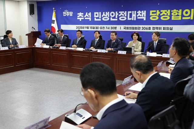 더불어민주당 김병기 원내대표가 15일 서울 여의도 국회에서 열린 '추석 민생안정대책 당정협의'에서 발언하고 있다. / 연합뉴스