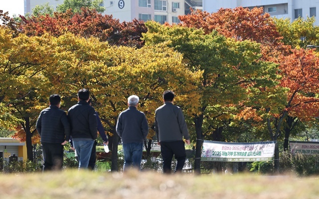 오후 늦게부터 전국 곳곳에 한파주의보 발효가 예고된 2일 서울 영등포구 여의도한강공원에 단풍이 물들어 있다. / 연합뉴스