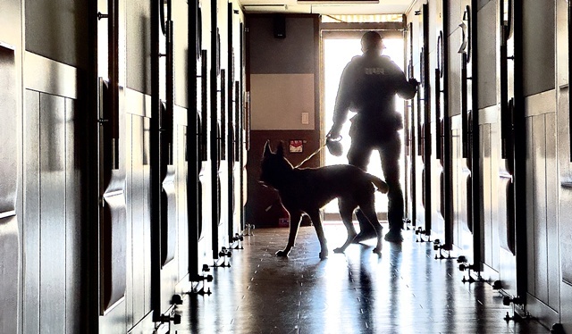 수능 사흘 앞두고…고등학교 사제 폭탄 설치 신고 / 연합뉴스