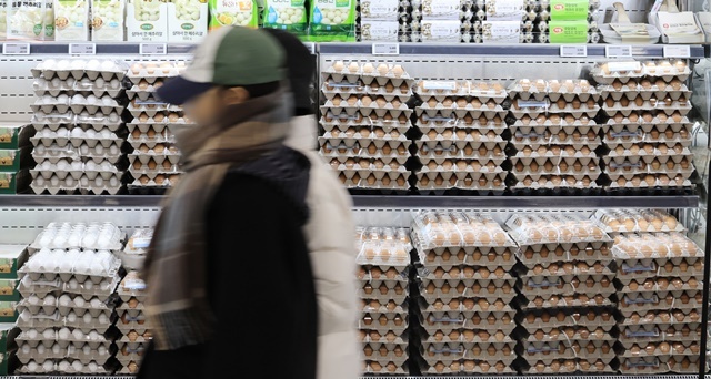 서울시내 한 마트에서 시민이 계란을 고르고 있다. / 연합뉴스