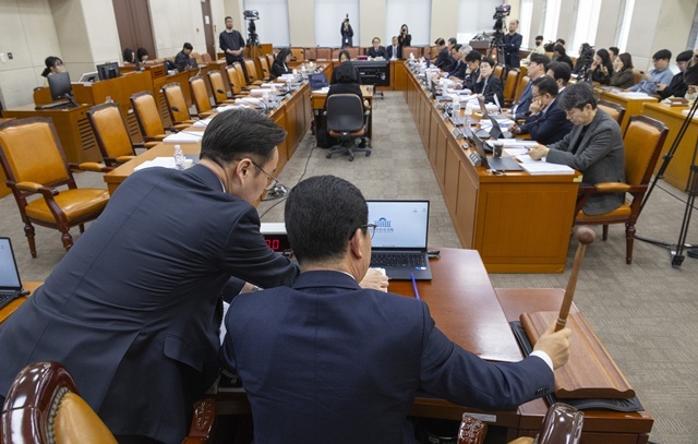 국회 행안위, 국민투표법 여당 주도로 처리 / 연합뉴스