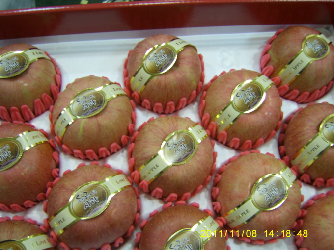 동해 푸른바다의 향을 가득 담은 영덕사과