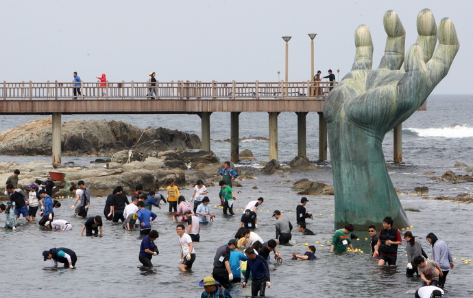 호미곶 돌문어 축제를 찾은 관광객들이 돌문어 잡기 체험행사를 즐기고 있다. (사진=포항시)