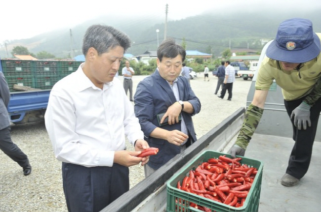 (사진=봉화군)