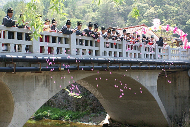 “제29회 주왕산수달래축제” 개최.(사진=청송군)