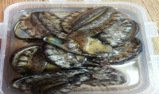 전복.(사진=포항해경)