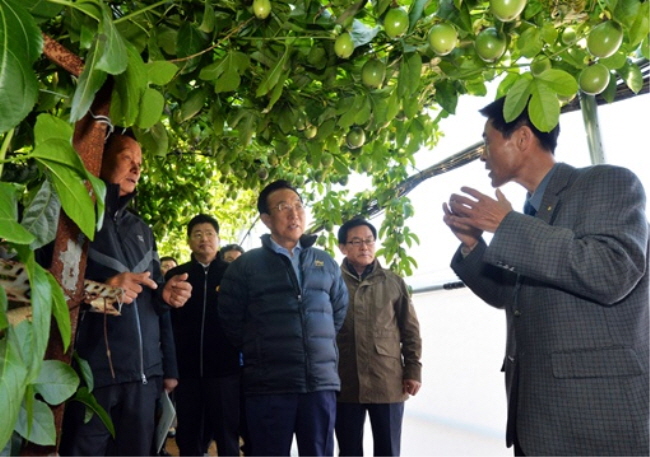 경북도내 과수농장을 찾아 애로사항을 청취하고 있는 김관용 도지사.(사진=경북도)