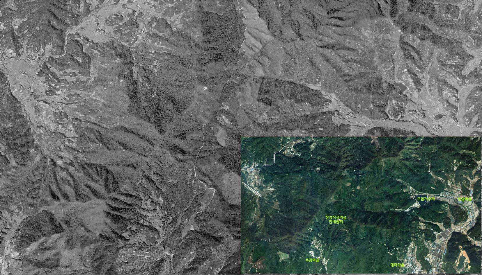 (사진=산림청)