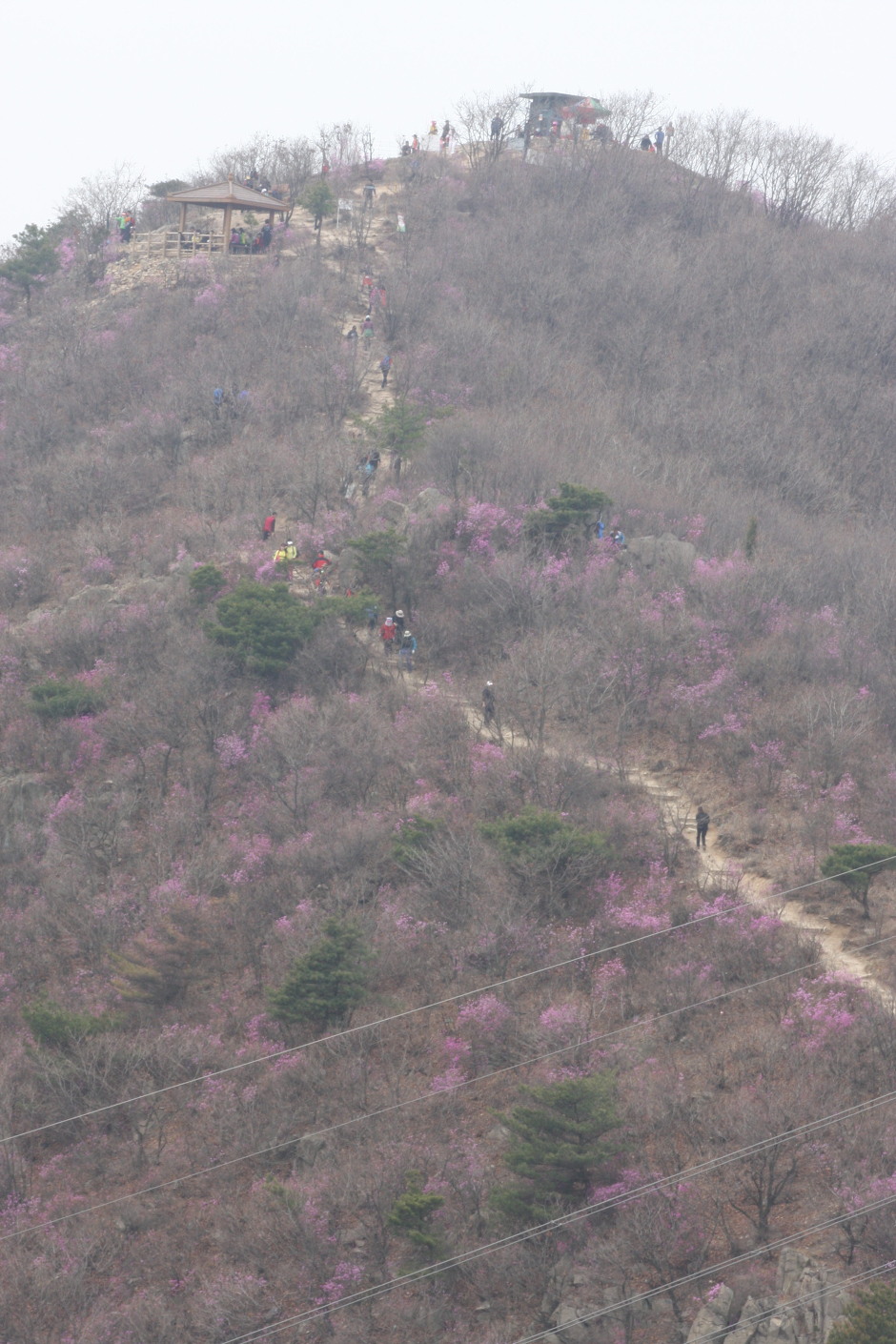 (사진=국제일보)