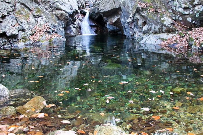 백운산자연휴양림내 계곡.(사진=산림청)