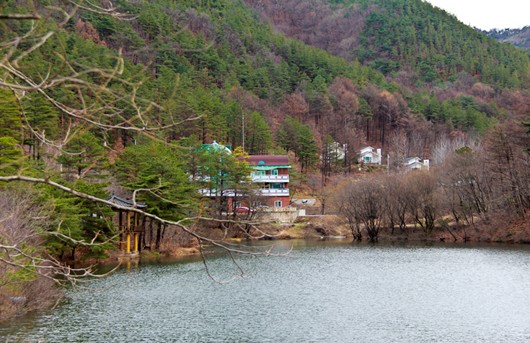 산림청 국립자연휴양림관리소는 조용한 호수와 숲이 안락한 분위기 연출해 찬찬히 신년 계획을 세우는 데 제격인 충북 보은 속리산말티재자연휴양림을 1월의 추천 자연휴양림으로 선정했다. (사진=산림청)