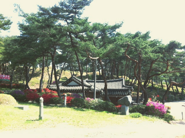(사진=산림청)