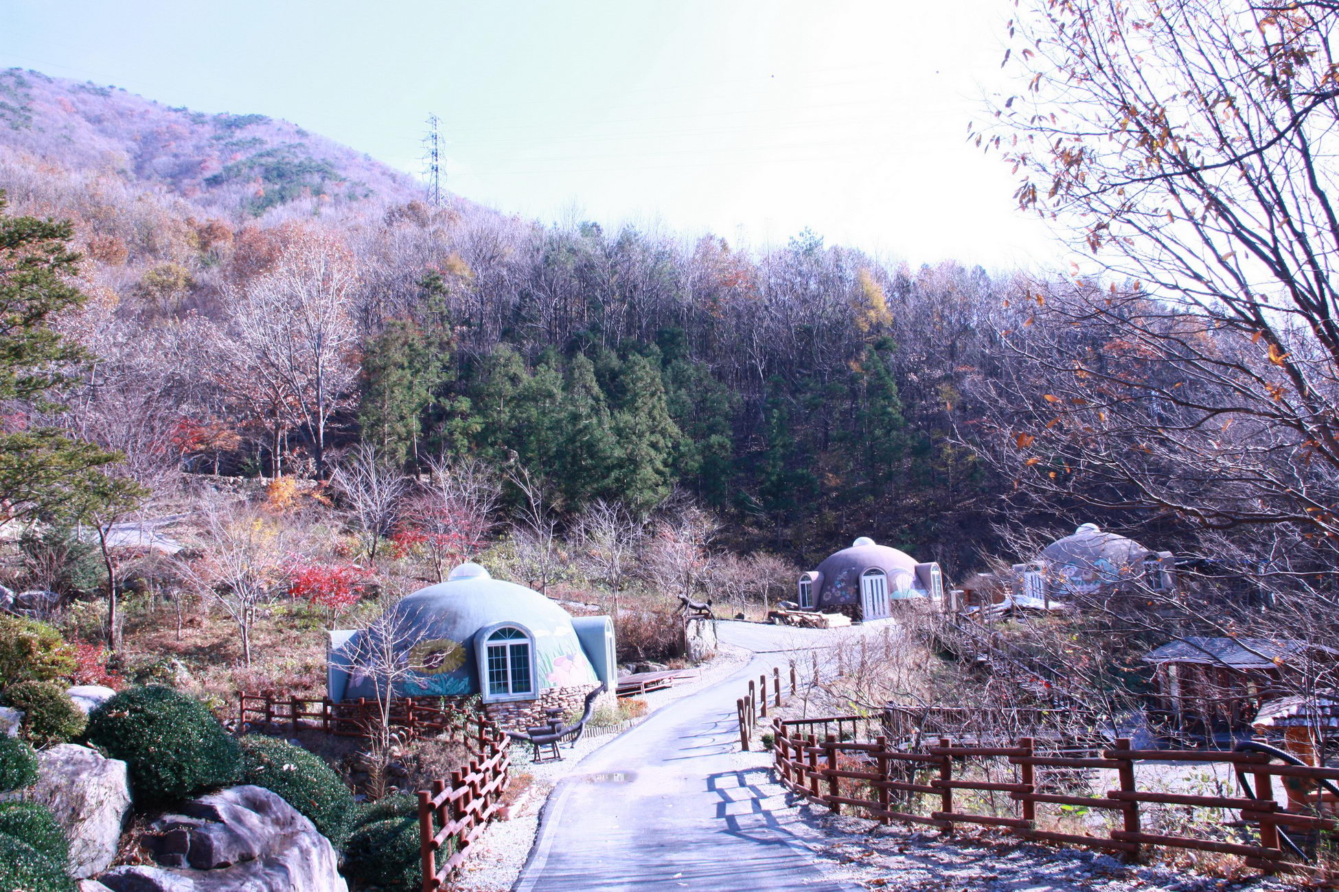 (사진=산림청)
