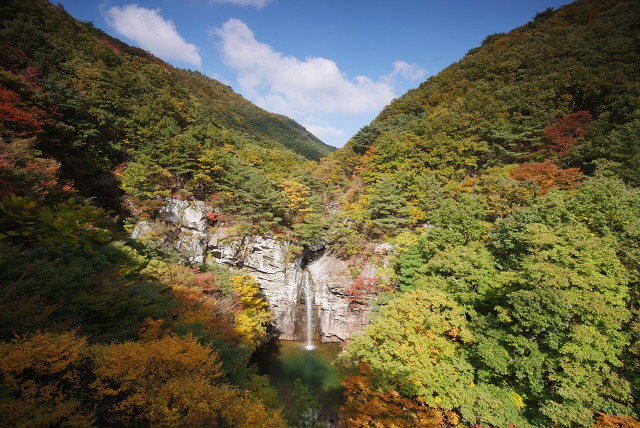 (사진=산림청)