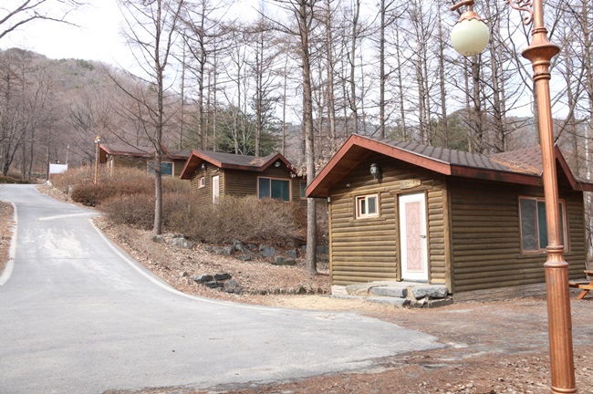 (사진=산림청)