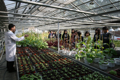 사진2. GMO 온실 견학 
